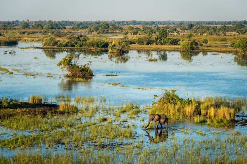 Reiseziele für Männer - Das Okavango Delta in Botswana