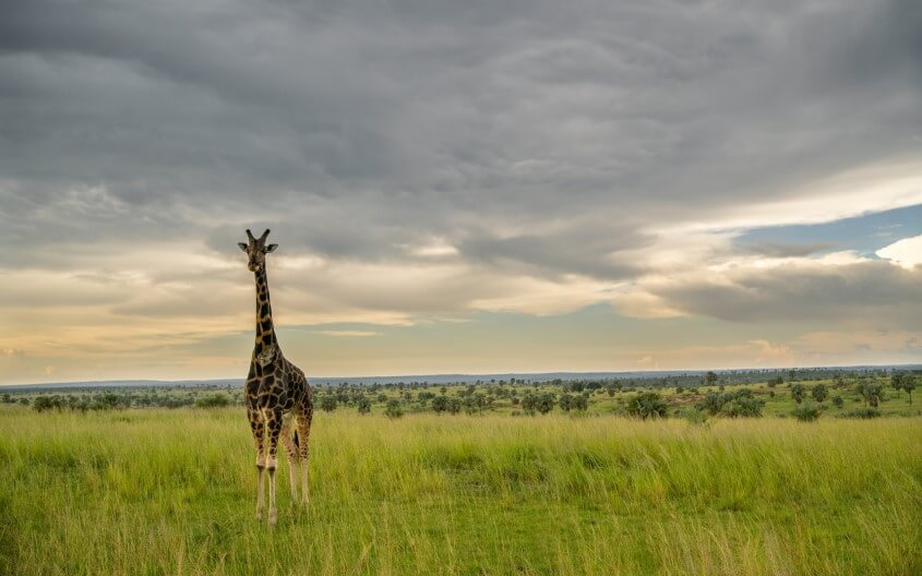 Faszinierende Reiseziele - Uganda