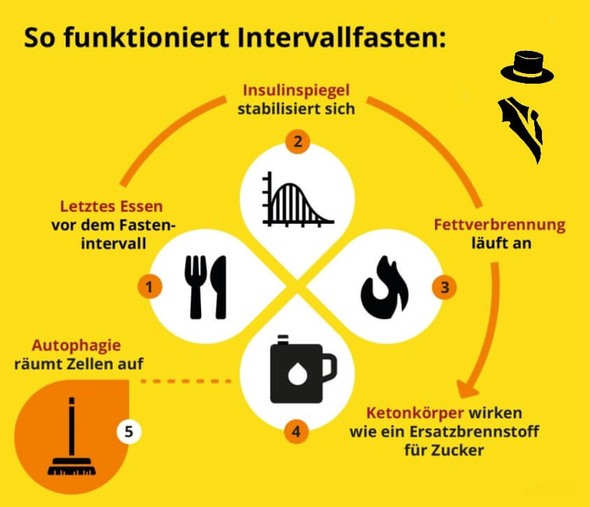 Infografik Funktionsweise Intervallfasten